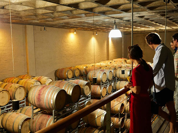 tour Acivities online booking solution